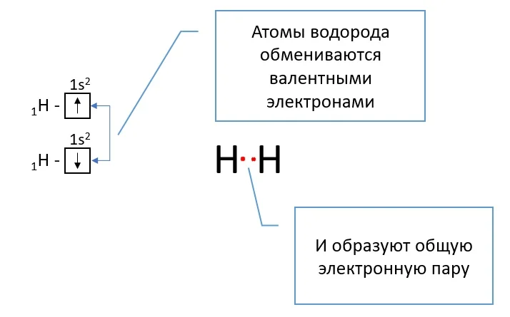 Обобществление неспаренных электронов атомов водорода (обменный механизм образования ковалентной связи)